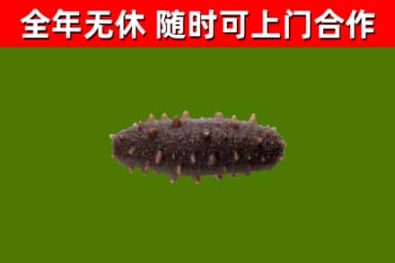 邢台烟酒回收干海参.jpg